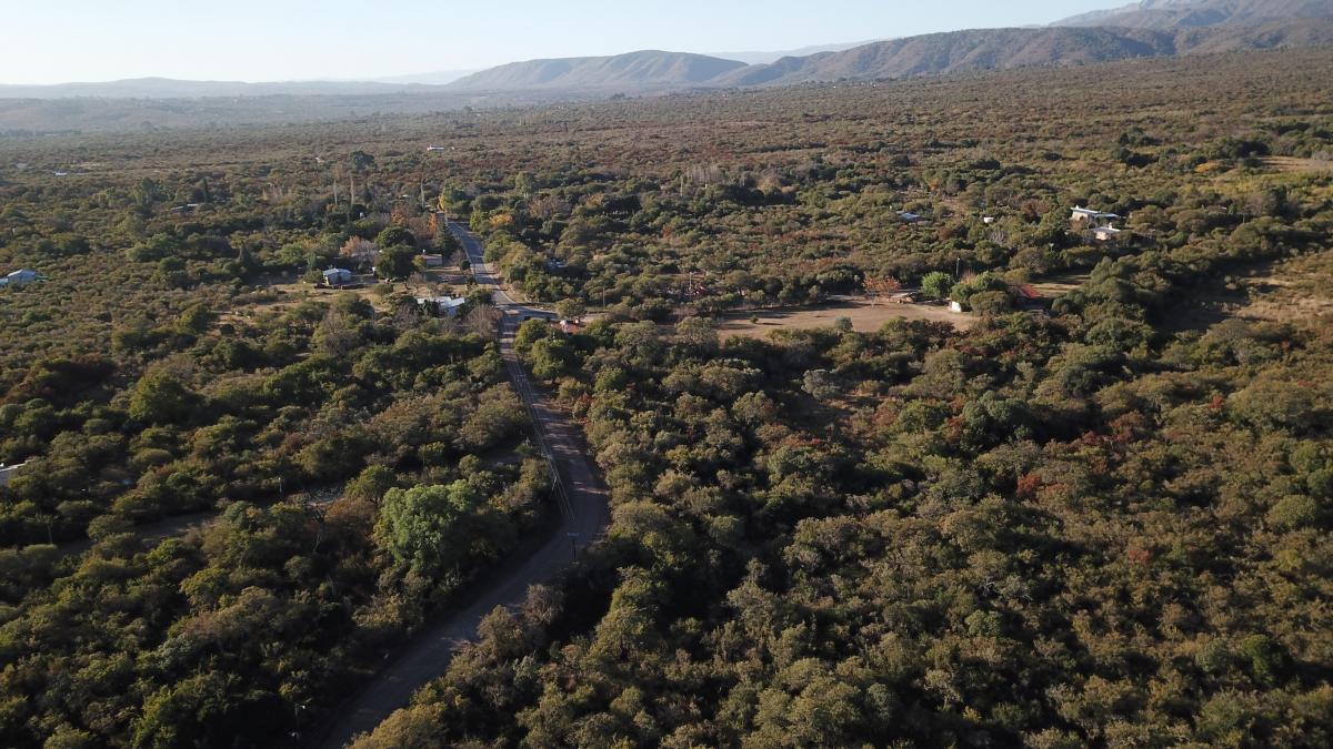 Vista del lote, hectárea y media, Los Molles