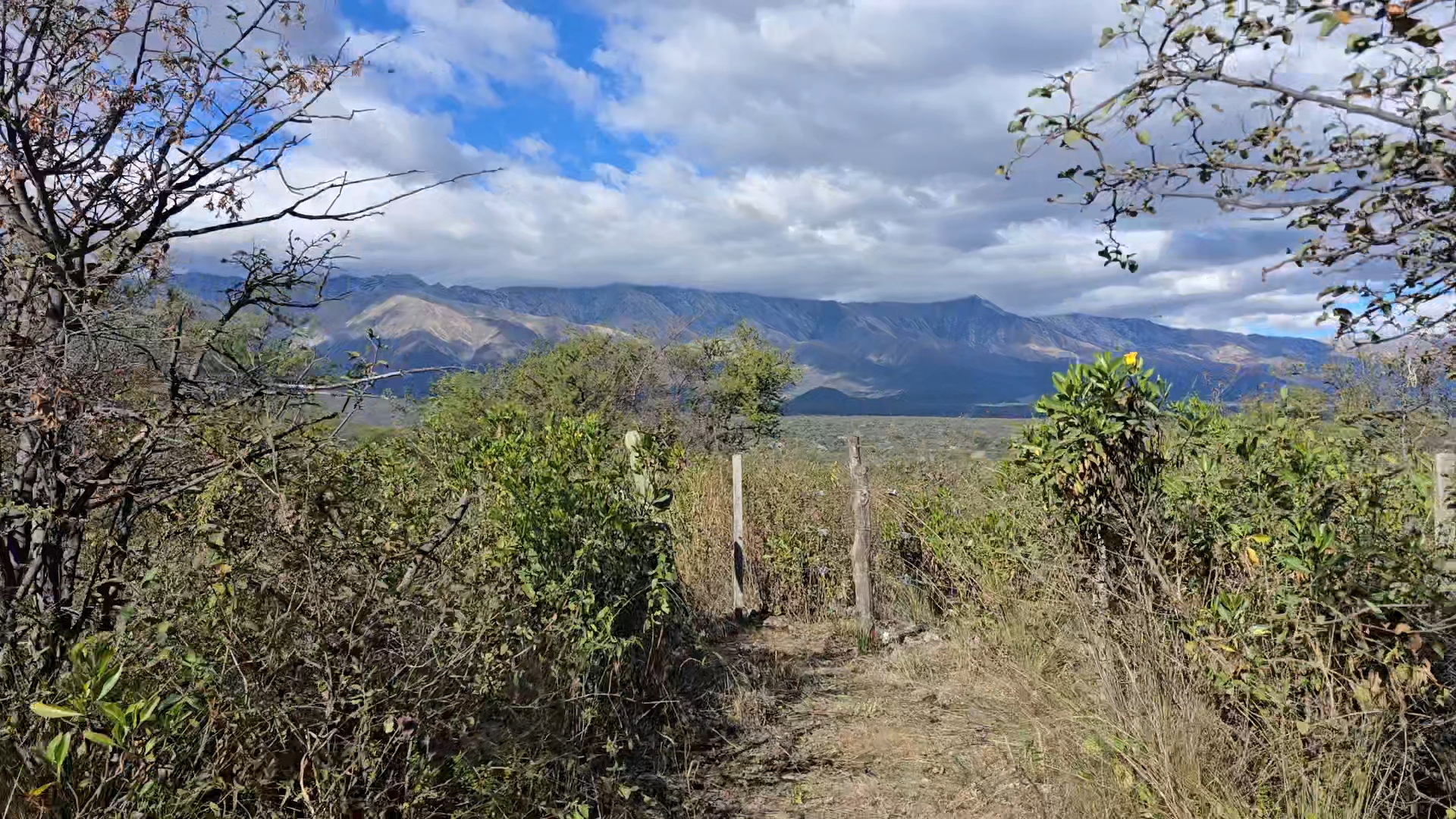 Sendero de acceso al lote, Villa de las Rosas